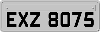 EXZ8075
