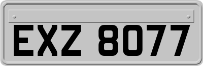 EXZ8077