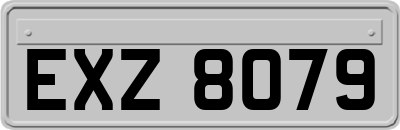 EXZ8079