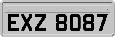 EXZ8087