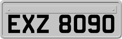 EXZ8090