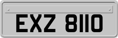 EXZ8110