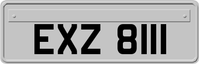 EXZ8111