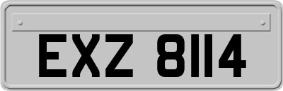 EXZ8114