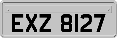 EXZ8127
