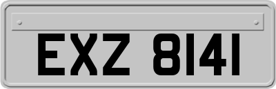 EXZ8141