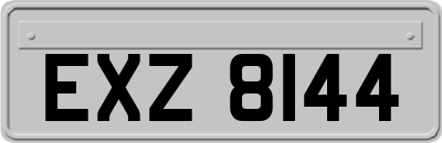 EXZ8144