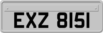 EXZ8151