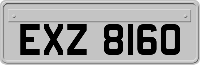 EXZ8160