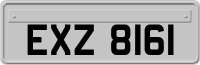 EXZ8161