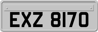 EXZ8170