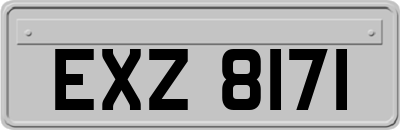 EXZ8171