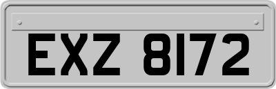 EXZ8172