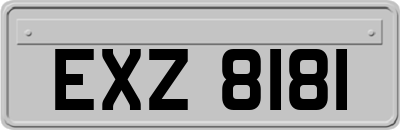 EXZ8181