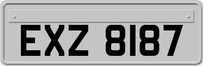 EXZ8187