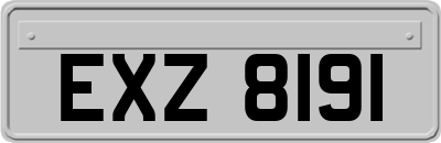 EXZ8191