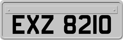 EXZ8210