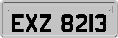 EXZ8213