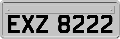 EXZ8222