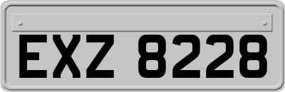 EXZ8228