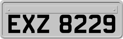 EXZ8229