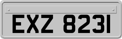 EXZ8231