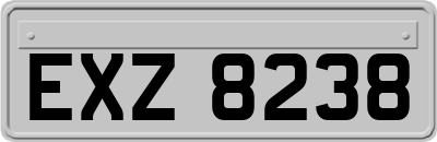 EXZ8238