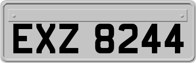 EXZ8244