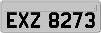 EXZ8273