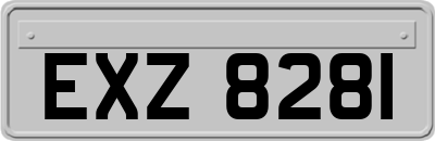 EXZ8281