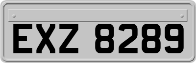 EXZ8289