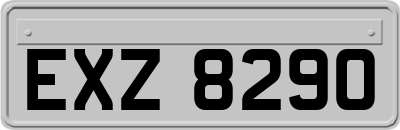 EXZ8290