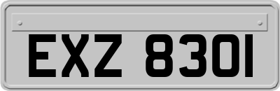 EXZ8301