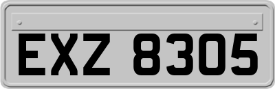 EXZ8305