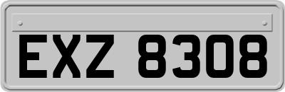EXZ8308