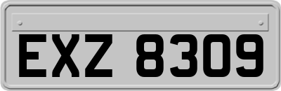 EXZ8309