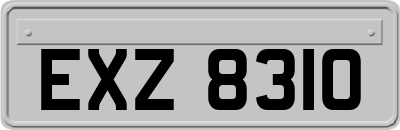 EXZ8310