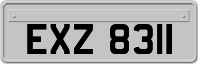 EXZ8311