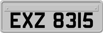 EXZ8315