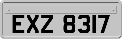 EXZ8317