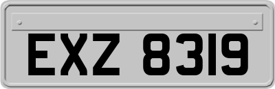 EXZ8319