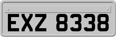 EXZ8338