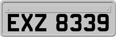 EXZ8339
