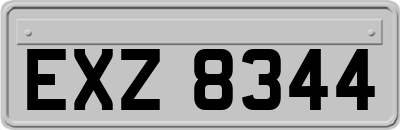 EXZ8344