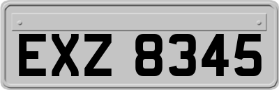 EXZ8345