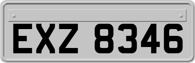 EXZ8346