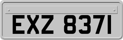 EXZ8371