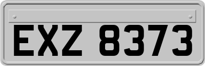 EXZ8373
