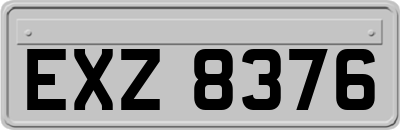EXZ8376