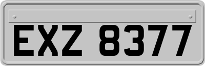 EXZ8377